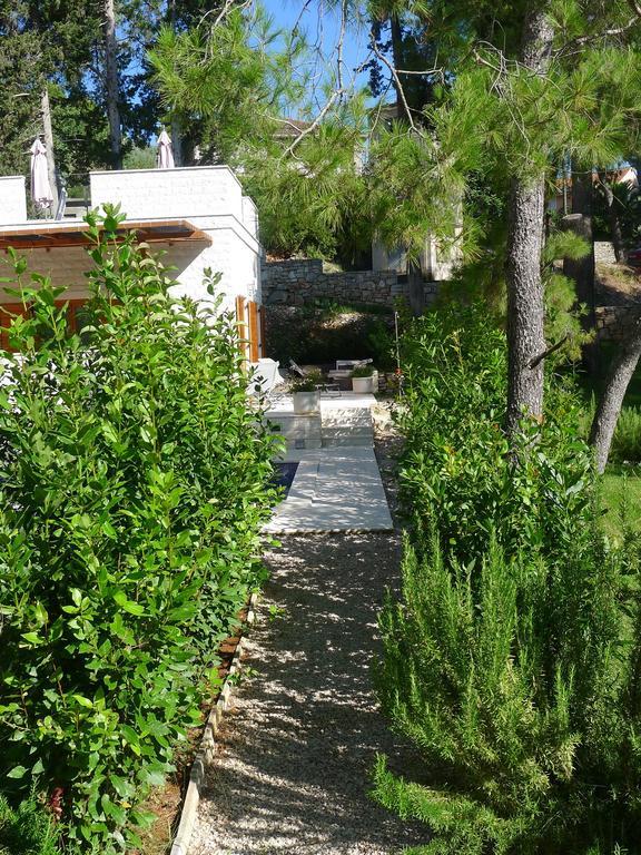 Private Luxury Villa Bianco On Solta For Up To 10 Persons, Heated Pool, Free Parking, Very Close To The Beach! Free Kajak & Mountainbikes, Great Living Area & Privacy! Rogač Eksteriør bilde